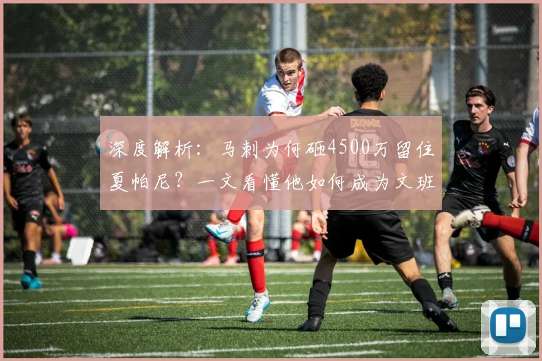 深度解析：马刺为何砸4500万留住夏帕尼？一文看懂他如何成为文班亚马身边的关键拼图